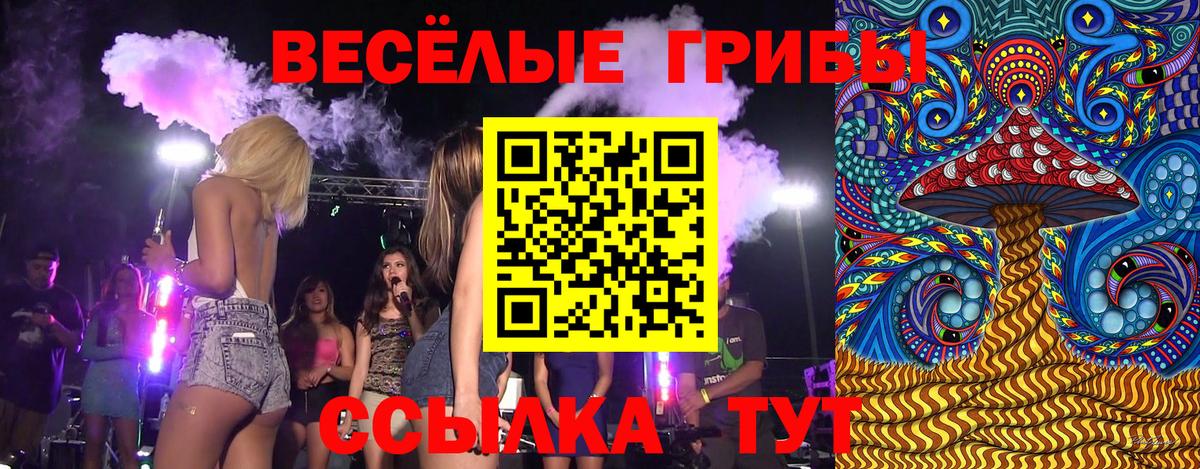 Псилоцибиновые грибы Magic Shrooms Волжский