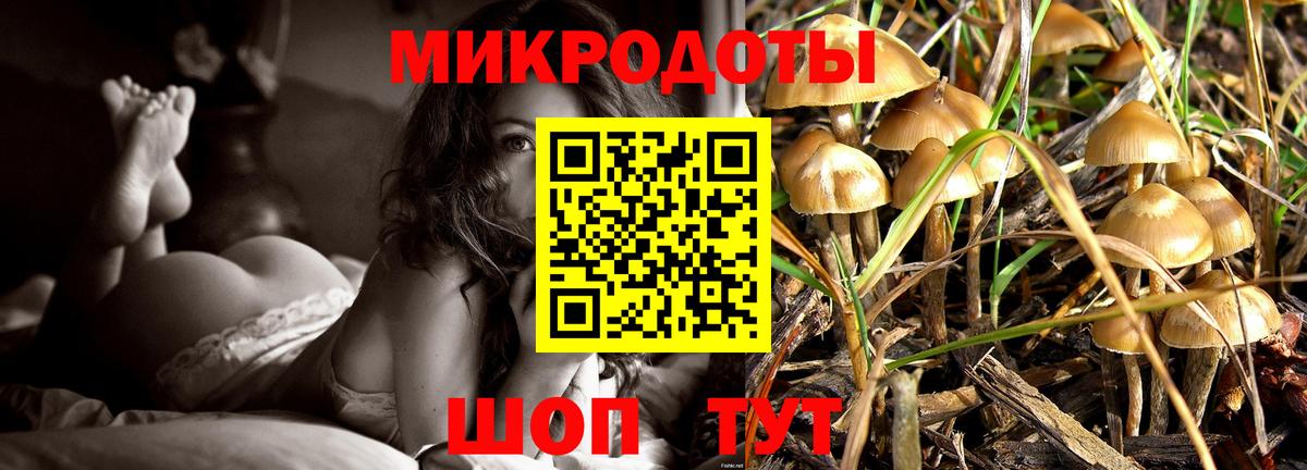 Волжский  Псилоцибиновые грибы Cubensis  Вход с VPN 
